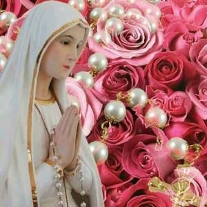 Meet your Posher, Liza